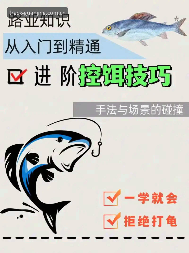 冠竞体育平台赛程查询实用指南：从入门到精通的必备知识